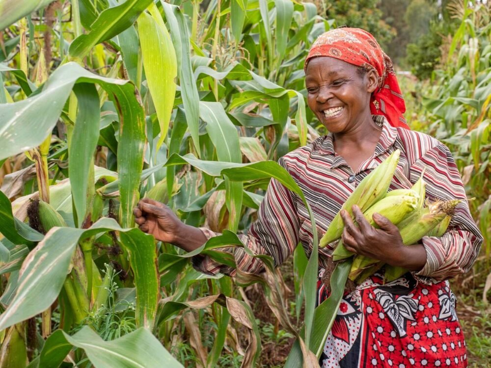 African Food Tech Startups Solving Agricultural Challenges