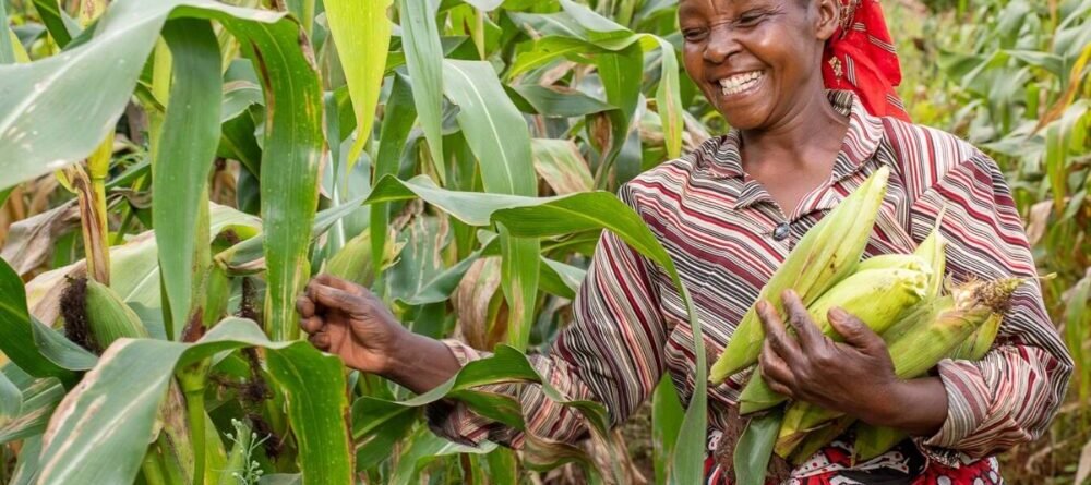 African Food Tech Startups Solving Agricultural Challenges